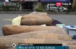 Amankan Kurir Narkoba Lintas Pulau, Polisi Temui 12 Kg Ganja Kering