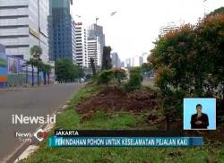 Penataan Trotoar, 541 Pohon di Kawasan Sudirman-Thamrin Dipindah