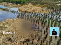Tewas Mengenaskan, Petani Temukan Jasad Wanita Tanpa Kepala