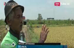 Terkena Proyek Tol Cipali, Sawah Petani Dihargai Rp20.000 per Meter