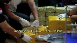 Mengungkap Peredaran Bebas Narkoba di Diskotek