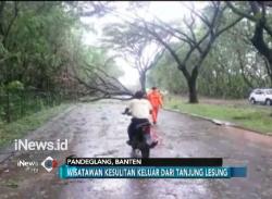 Diterjang Puting Beliung, Belasan Pohon Tumbang di Tanjung Lesung