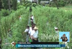 Mantra-Kerta Paparkan Program Unggulan di Bidang Pertanian