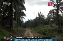 Sengketa Lahan Kelapa Sawit di Tapanuli Korbankan Warga Transmigrasi