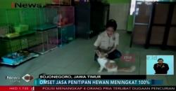 Jasa Penitipan Hewan Raup Untung di Libur Akhir Tahun