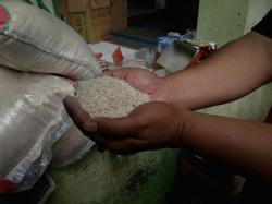 Beras Korban Banjir Tak Layak Konsumsi