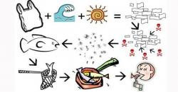 Mikroplastik Masuk Tubuh Manusia Bahayakah? Ini Jawabannya