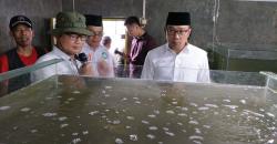 Ridwan Kamil Janji Bakal Bawa Usaha Bibit Ikan di Bogor Mendunia
