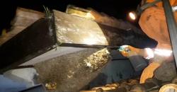 Sering Teror Siswa, Tim BPBD Purbalingga Evakuasi Sarang Tawon Jumbo <