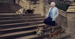 Anjing Kesayangan Mati, Ratu Inggris Berduka