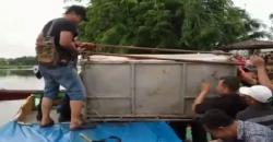 Sepak Terjang Harimau Bonita yang Tewaskan 2 Warga Akhirnya Terhenti