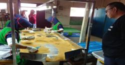 Pak Dirman Tegaskan 5 Juta Lapangan Kerja Bukan Program Awang-Awang