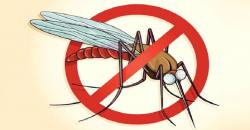 Perbukitan Menoreh Masih Jadi Daerah Endemis Malaria, Awal 2022 Ditemukan 6 Kasus