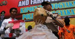 Polisi Sita 2 Kilogram Ganja Siap Edar dari 4 Tersangka di Yogyakarta