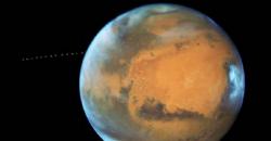 Spesies Ini Dianggap Mampu Bertahan Hidup di Mars