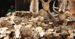 Selain Pasar Jimat di Afrika, 6 Negara Ini Miliki Destinasi Unik