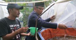 Terbukti Untung, Kang Emil Paksakan Program Satu Desa Satu Perusahaan