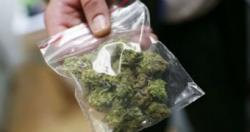 Victoria Bakal Jadi Ibu Kota Ganja Obat di Australia