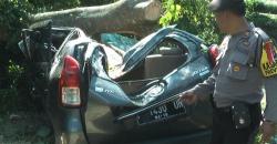 Diterjang Angin Kencang, Beringin Tua Tumbang dan Rusak Belasan Mobil