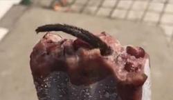 Heboh Ada Buntut Tikus di Es Krim