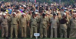Ratusan Tenaga Honorer di Manokwari Selatan Desak Diangkat jadi PPPK<