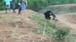 Nekat Selfie dengan Beruang, Pria Ini Tewas Diterkam