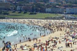 Akibat Cuaca Panas, Pepohonan di Australia Berbunga di Musim Gugur