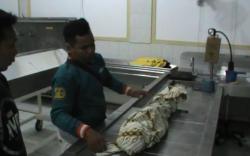 Diduga Jadi Korban Penganiayaan Ayah Kandung, Balita di Gowa Tewas