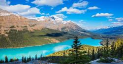 5 Keajaiban Alam Terindah Dunia, Air di Danau Peyto Kanada Berkilau