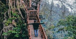 Wisata Bakukung Bogor, Jelajahi Indahnya Kebun Teh Peninggalan Belanda