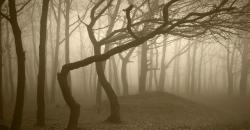 Tersembunyi di Inggris, Wychwood Terkenal Angker karena Hantu Wanita