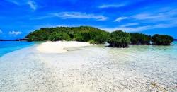 Jelajahi Pulau Pahawang, Snorkeling Lihat Ikan Nemo di Terumbu Karang
