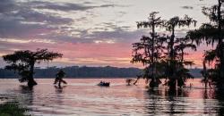 Eksplor Danau Indah AS, Naik Perahu Lihat Alligator di Lake Martin