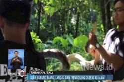 Tim Penyelamat Lepaskan Belasan Satwa Langka di Bali