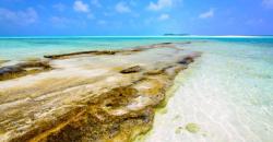 Tersembunyi di Samudera Hindia, Indahnya Pantai Fulhadhoo Maladewa