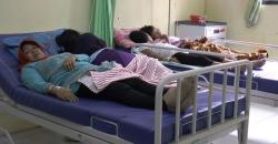 86 Orang Keracunan, Warga Bogor Utara Diimbau Tak Konsumsi Tutut