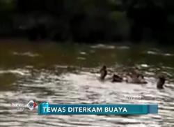 Diterkam Buaya, Wanita Tewas Mengenaskan saat Cuci Pakaian
