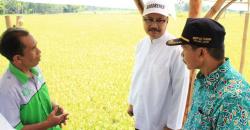 Tingkatkan Minat Petani Muda, Gus Ipul Tawarkan Pertanian Organik