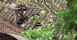 5 Tahanan Polresta Denpasar Barat Kabur, 8 Polisi Diperiksa