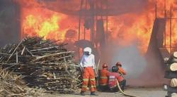 Pabrik Kayu di Banjarnegara Terbakar, Api Diduga dari Ruang Oven