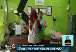 Libur Lebaran, Omzet Jasa Penitipan Hewan Naik 300 Persen