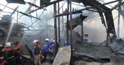 Kandang Terbakar, 2.500 Ekor Ayam di Kulonprogo Mati Terpanggang