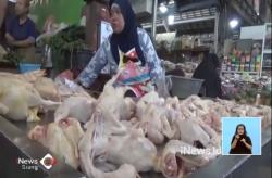 H+7 Lebaran, Harga Daging Ayam di Solo Rp44.000 per Kg
