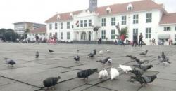 Rayakan HUT DKI, Besok Masuk Museum di Jakarta Gratis