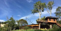 Menjelajahi Ngarai Sianok Berburu Spot Instagramable di Rumah Pohon