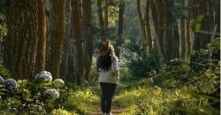 Wisata Malang, Mengunjungi Coban Talun Berburu Foto di Jembatan Jodoh