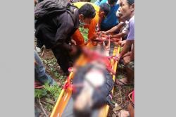 Ajaib, Kakek 60 Tahun Selamat usai Jatuh dari Tebing 20 Meter