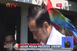 Liburan ke TMII, Jokowi Kenalkan Nama-Nama Burung ke Cucu