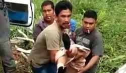 2 Angkot Tabrakan di Tapanuli Selatan, 11 Penumpang Terluka Parah