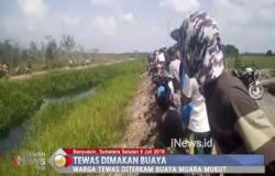 Asyik Mancing, Warga Banyuasin Dilahap Buaya Muara